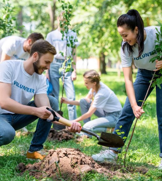 young-volunteers-planting-trees-in-green-park-together.jpg